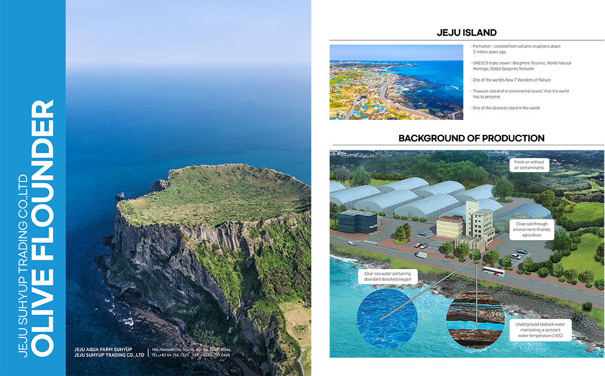 Jeju Suhyup 광어회